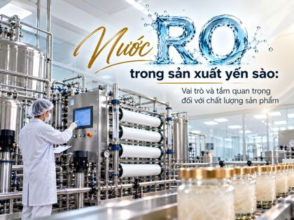 Nước RO trong sản xuất yến sào: Vai trò và tầm quan trọng đối với chất lượng sản phẩm
